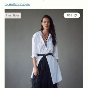 Anthro ~ NWT gorgeous skirt